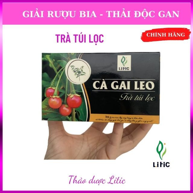Trà túi lọc Cà Gai Leo Litc 150g - Hỗ trợ bảo vệ lá Gan cho cả gia đình bạn , mát gan, giải rượu, chống nhiệt miệng LTCG