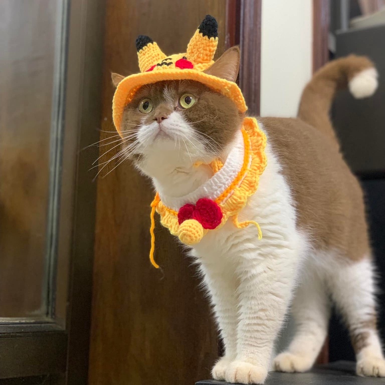 Mũ len cho chó mèo cosplay pikachu vàng dễ thương