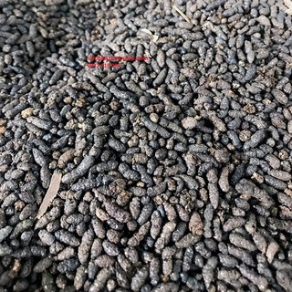 phân dơi nguyên chất (1 kg)