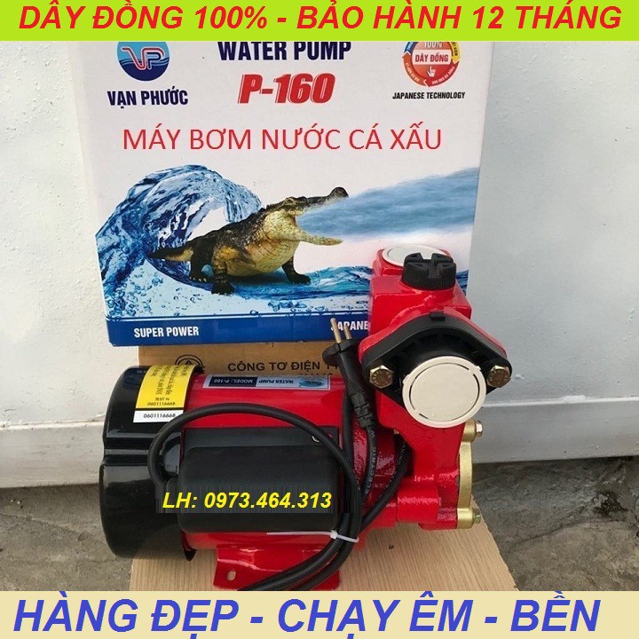 MÁY BƠM NƯỚC CÁ SẤU - 160W