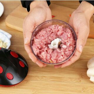 Combo 2 Máy xay thịt đa năng mini ,máy cơ , ko dùng điện