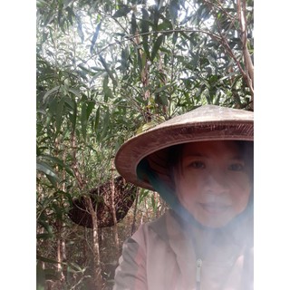 Mật ong rừng U Minh Hạ