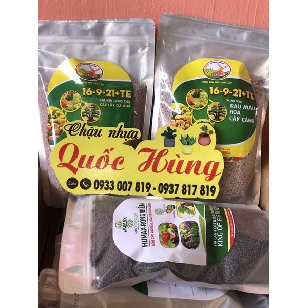 Hạt giống các loại hoa