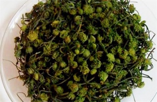 Nụ hoa tam thất Bắc 100g