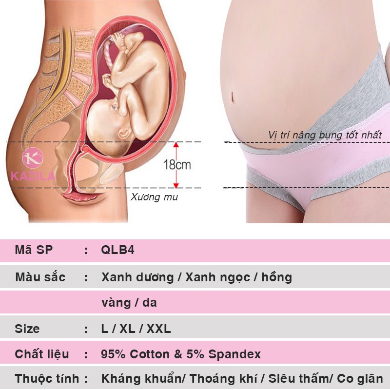 Quần lót bầu cotton lưng cao bảo vệ thai nhi chuẩn y tế không cấn bụng, quần lót bà bầu cao cấp Kazila QLB4