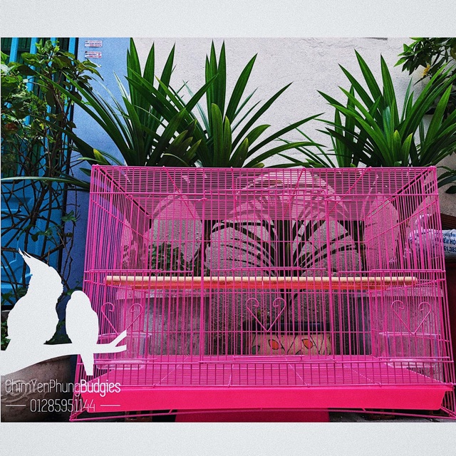 Lồng chim lớn sơn tĩnh điện 40x60 (DxR) nuôi: vẹt, chào mào, chim cảnh, sóc... đủ phụ kiện (2 cóng ăn, 1 cầu đứng).