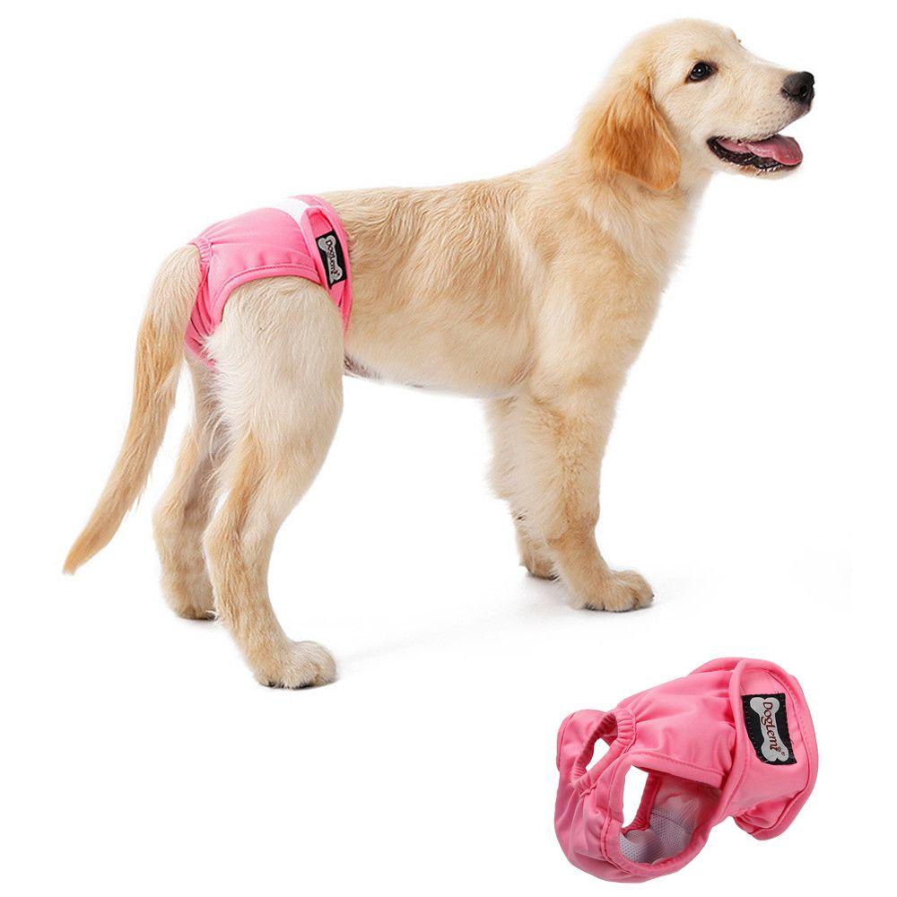 Layor1 Quần Lót Sinh Lý Mềm Mại Thấm Hút Tốt Cho Cún Cưng