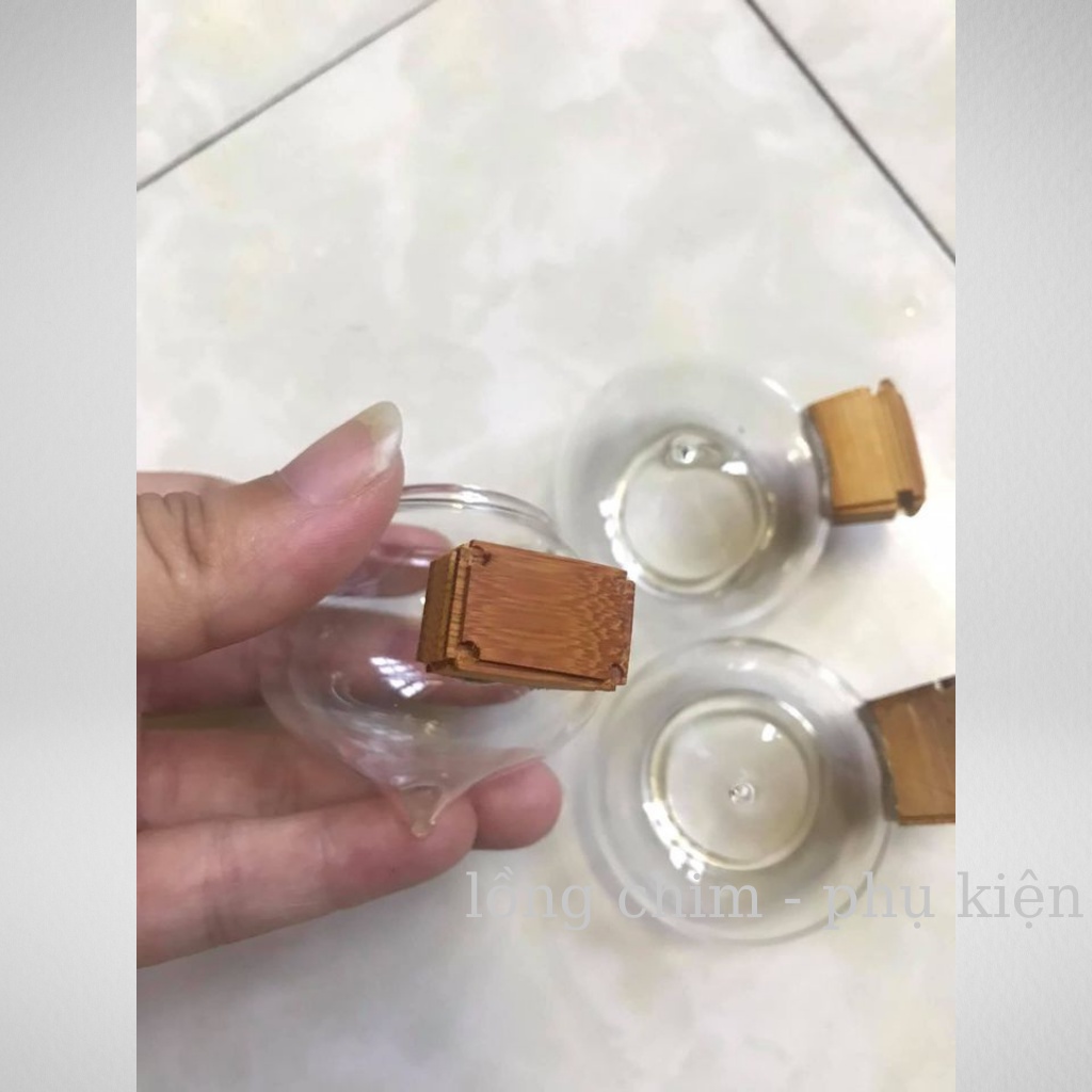 Cóng chim chào mào, họa mi( đủ bộ)  - Combo 3 cóng thủy tinh chào mào,họa mi kèm tai tàu cao cấp