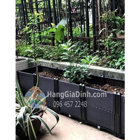 Phụ kiện Thanh Nẹp đen chậu ghép thông minh cỡ Nâu 40cm