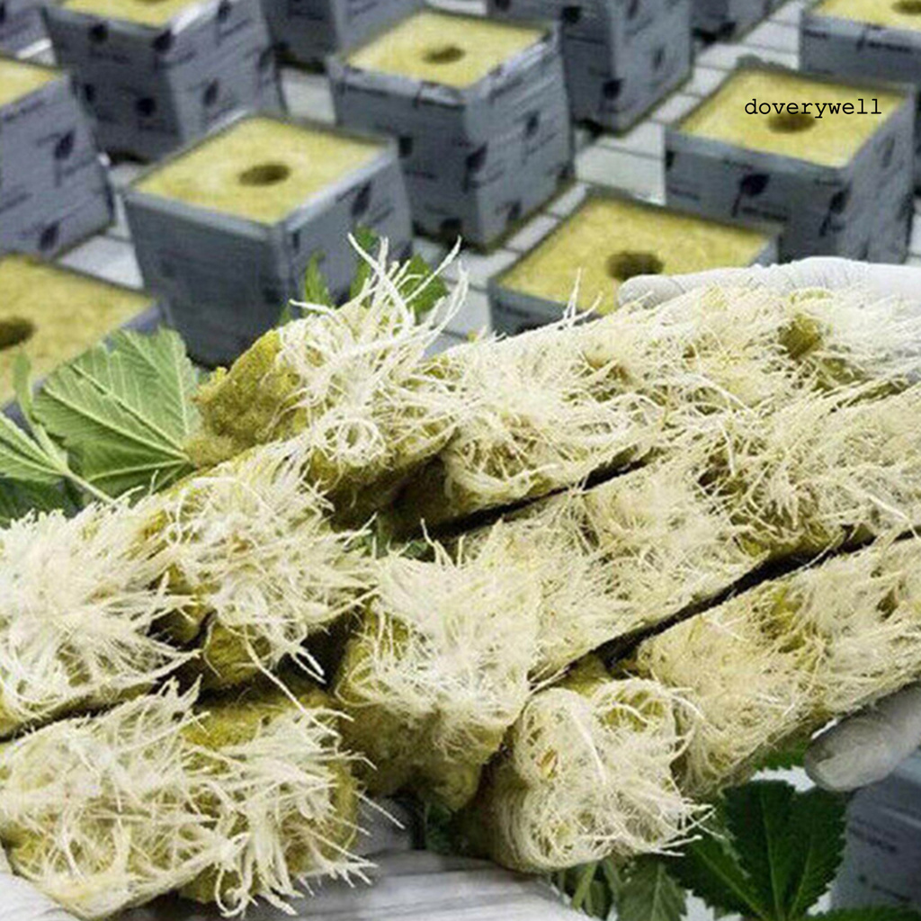 50 Khối Lập Phương Kích Thích Sự Phát Triển Của Thực Vật