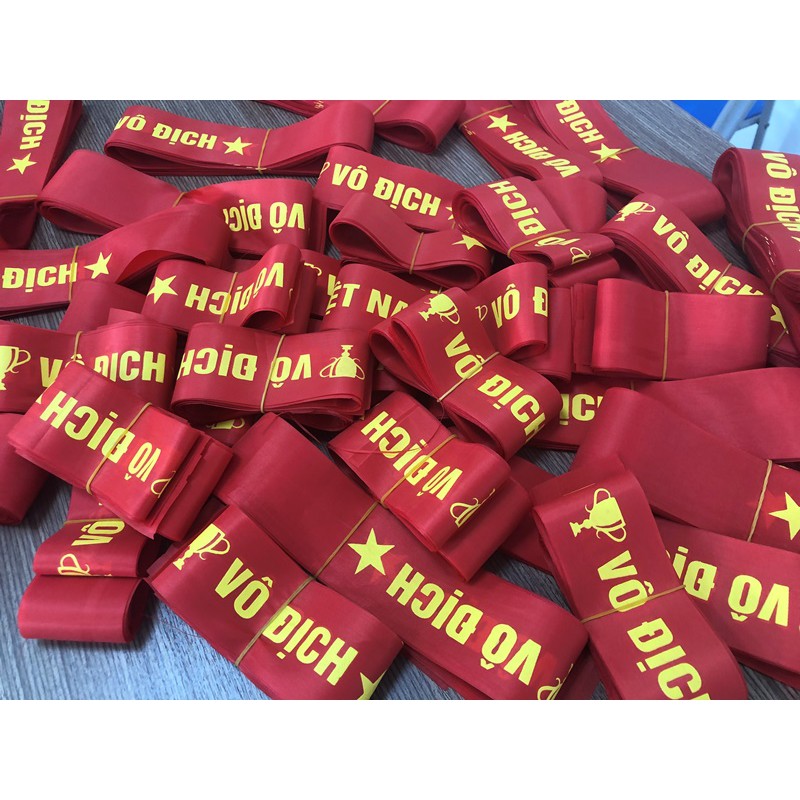 Mẫu băng rôn cổ vũ bóng đá Việt Nam vô địch
