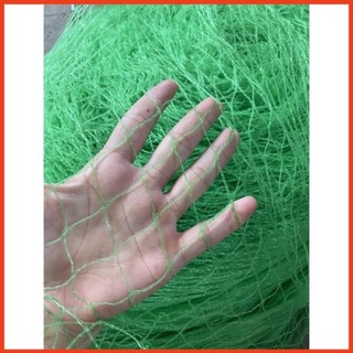 Lưới cước nhựa, lưới trồng cây, lưới giăng dàn dây leo khổ rộng 2 mét !