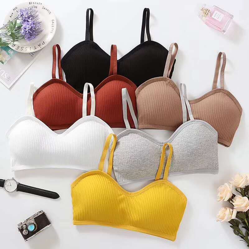 Shop Bán Buôn Bra gân tăm quả tròn sexy cos 8826 co giãn tốt mẫu mới