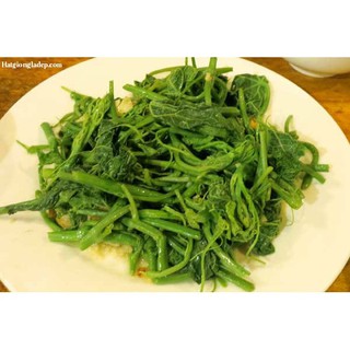 Hạt Giống Bí Siêu Ngọn Mập