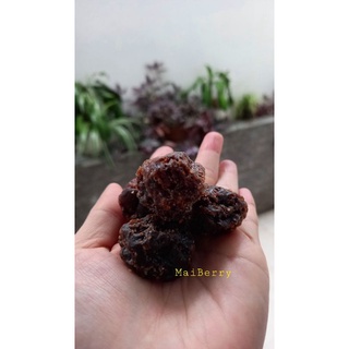 Mận xí muội