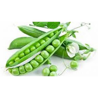 Gói 10 gr hạt giống đậu Hà Lan