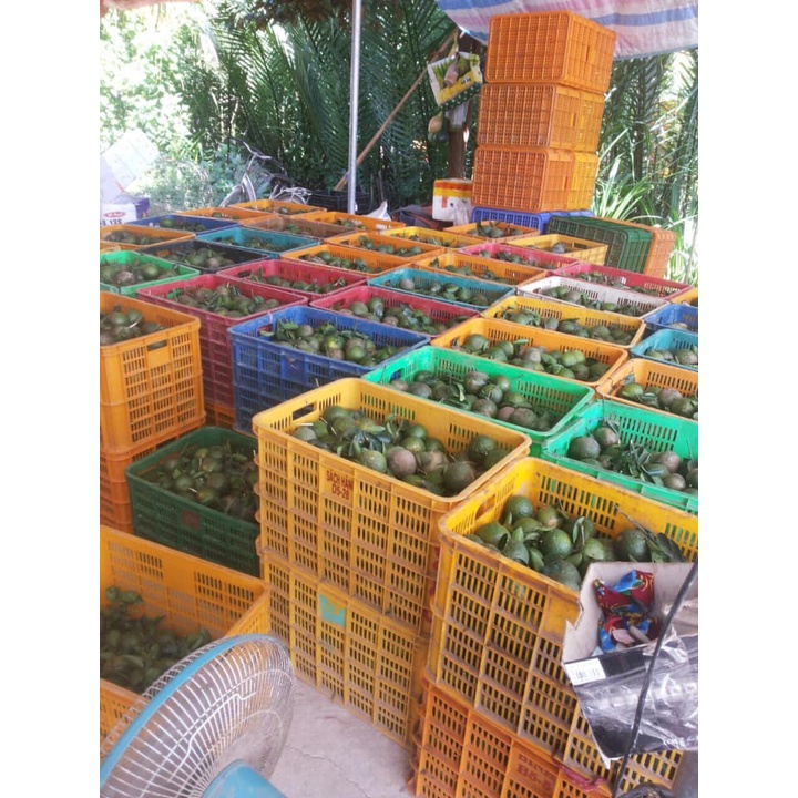 Sóng hở 3T9 đựng trái cây, thành phẩm, rổ nhựa chữ nhật đan rỗng