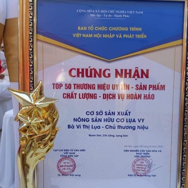 Trà Diếp cá Lụa Vy ( Trà túi lọc 40 gói)