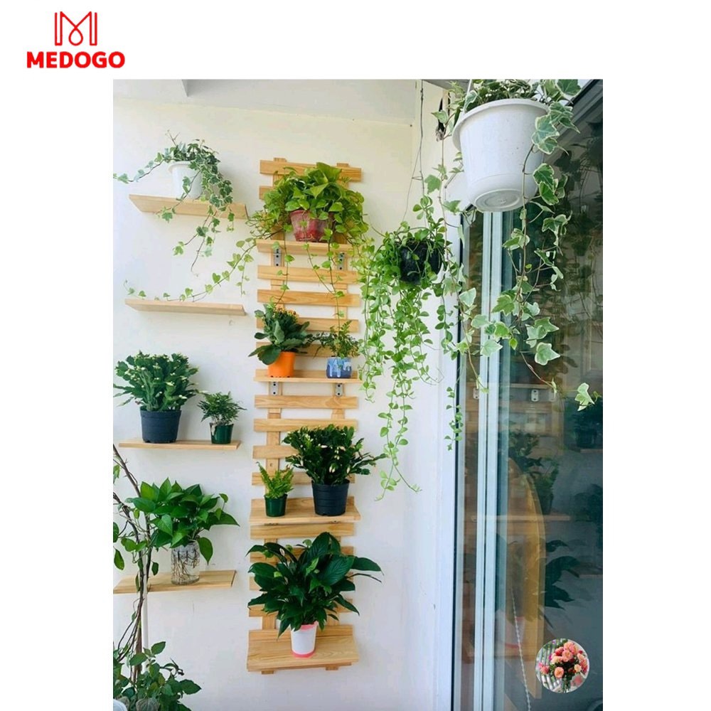 Bộ kệ gỗ trồng cây ban công MEDOGO, giá treo tường trồng hoa, cây cảnh phong cách Hàn Quốc trang trí gỗ thông chịu nước