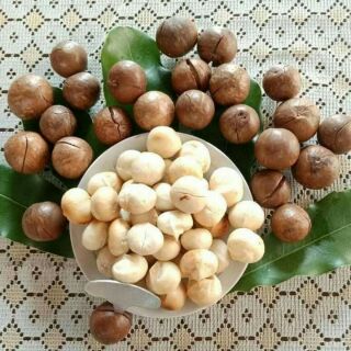Hạt macca sạch Di Linh Lâm Đồng tách vỏ tự nhiên 500g