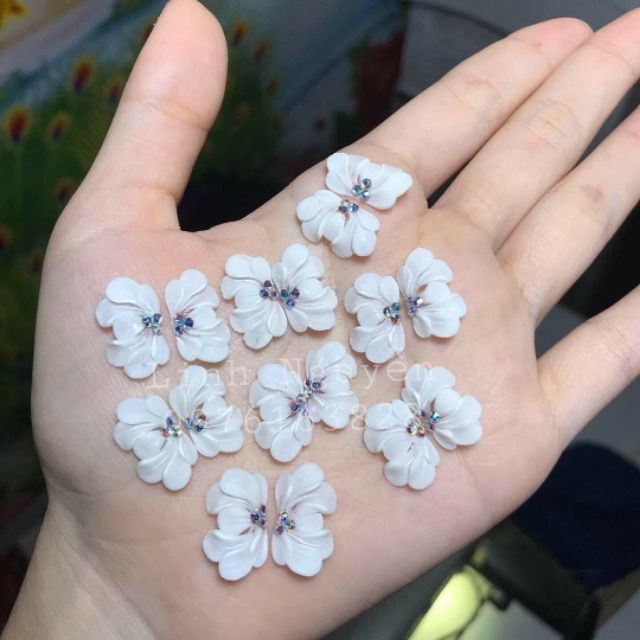 Hoa bột Nails