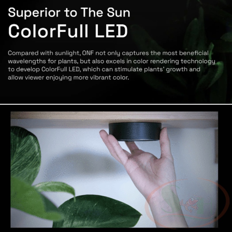 Đèn Trồng Cây ONF Mist O Magnetic Plant Light
