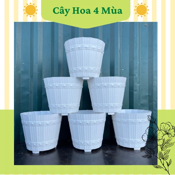 COMBO 5Chậu nhựa trồng cây hoa hình thùng gỗ màu trắng kích thước 17x15