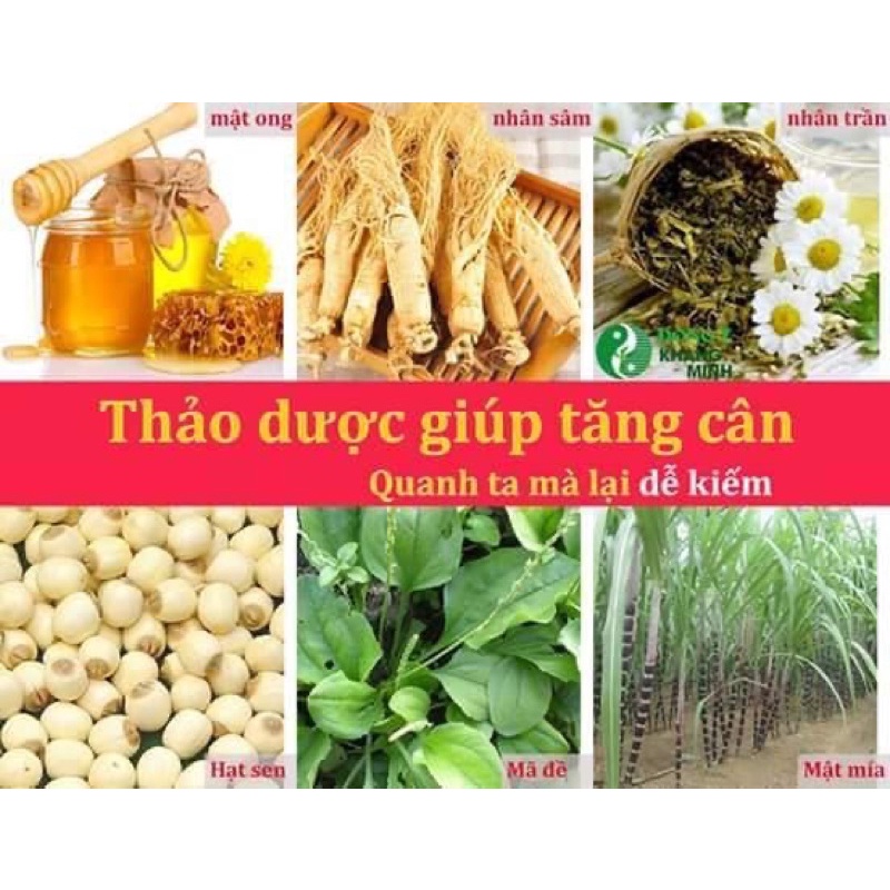 TĂNG CÂN THẢO MỘC  CHÍNH HÃNG
