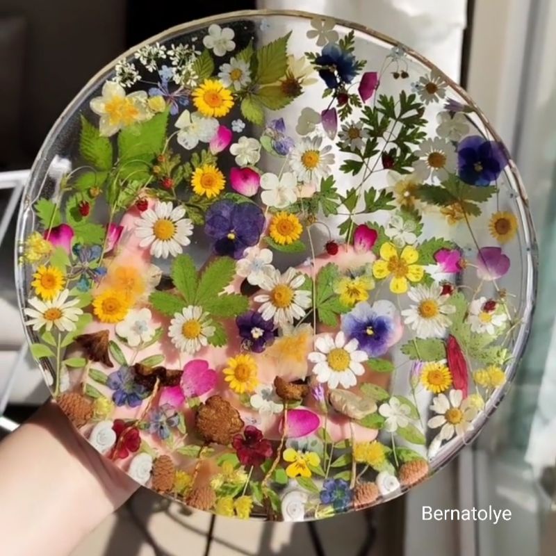 Hoa viola  ép khô dùng trong resin, ép khung ảnh hoa khô handmade