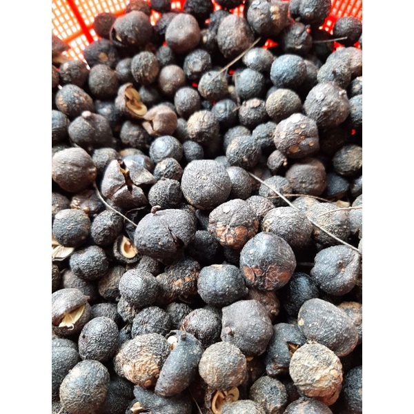 100g me rừng sấy khô