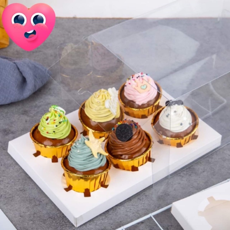 Hộp mica nhựa đựng bánh Cupcake 4,6 bánh cao 10cm