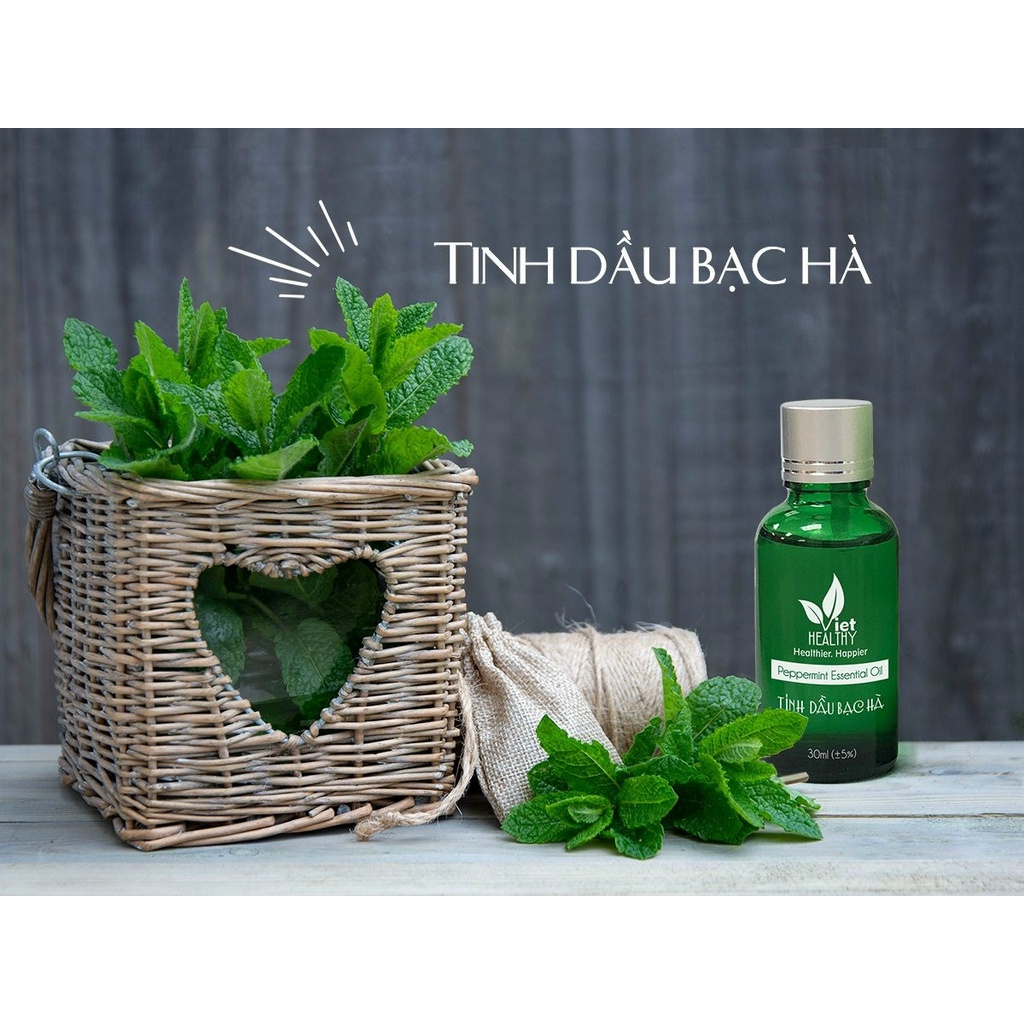 [CHÍNH HÃNG] Tinh dầu bạc hà Viet Healthy 30ml xuất xứ thiên nhiên không pha tạp chất