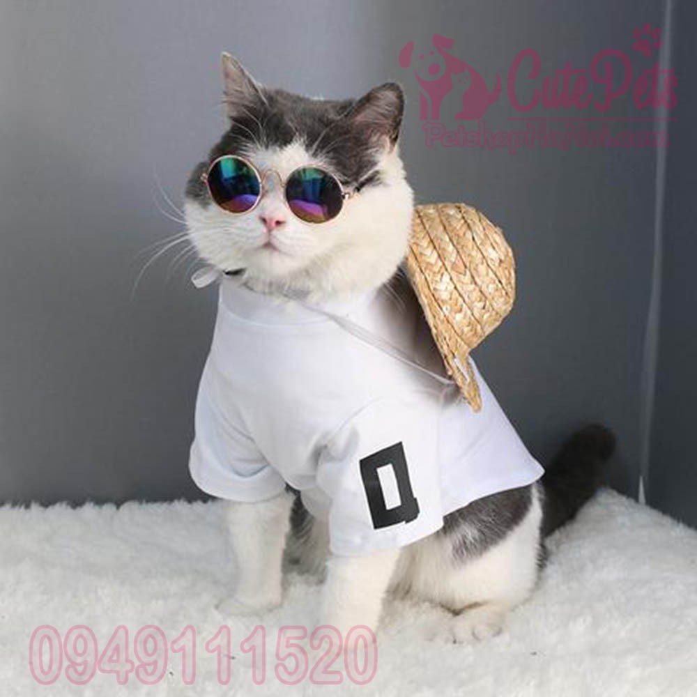 Kính quàng thượng dành cho chó mèo nhỏ - CutePets Phụ kiện thú cưng Pet shop Hà Nội