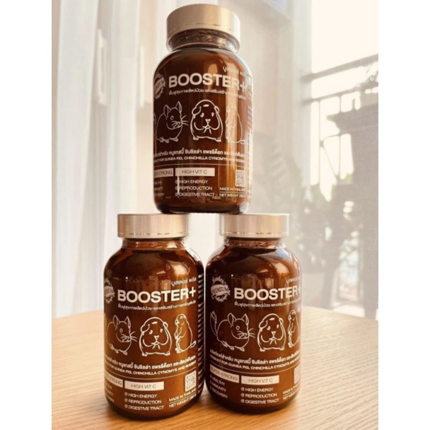 Bột Dinh Dưỡng Master Premium Dùng Cho Bọ - Chinchilla - Sóc