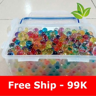 Hạt nở Nhật Bản Làm Slime Hoặc Trồng Cây - Nguyên liệu làm slime  sku sp DJ4071