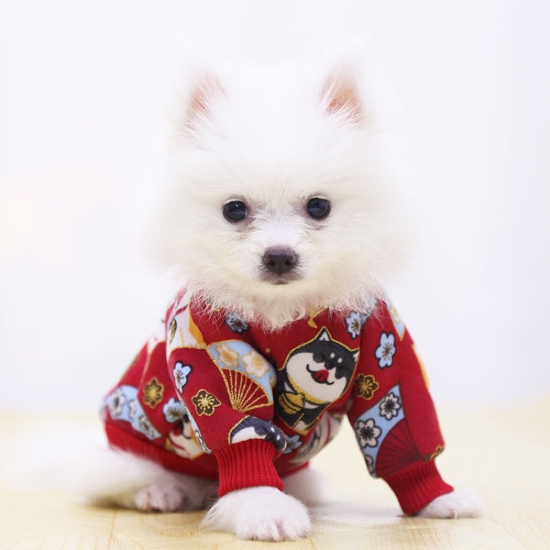 Áo nỉ lót bông Tết mèo thần tài - chó shiba cho cún miu 🧧