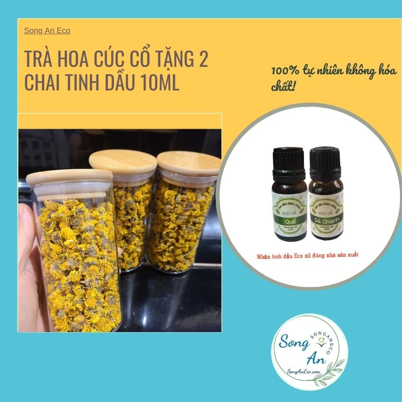 {KÈM QUÀ TẶNG} Trà hoa cúc cổ (Cúc cổ trà) Trang trại Song An Eco