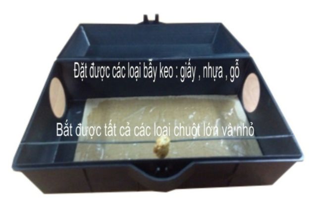 Hộp bẫy chuột Protector HD dùng bẫy chuột cho nhà hàng,cty, cơ quan.. sạch đẹp,thẩm mỹ và hiệu quả