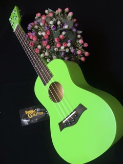 Đàn ukulele concert