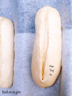 Men nở ko cần kích hoạt