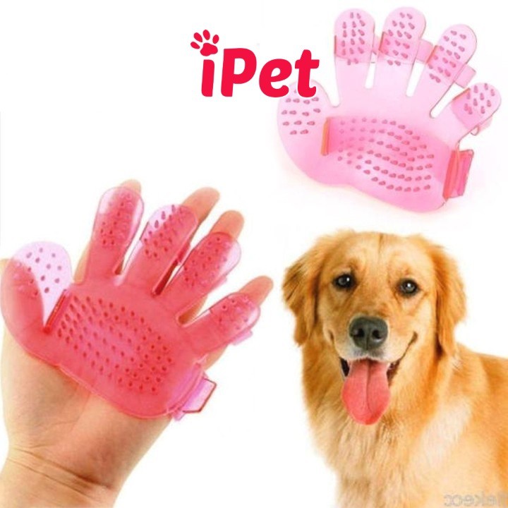 Găng Tay Chải Lông Rụng Và Tắm Cho Chó Mèo - iPet Shop
