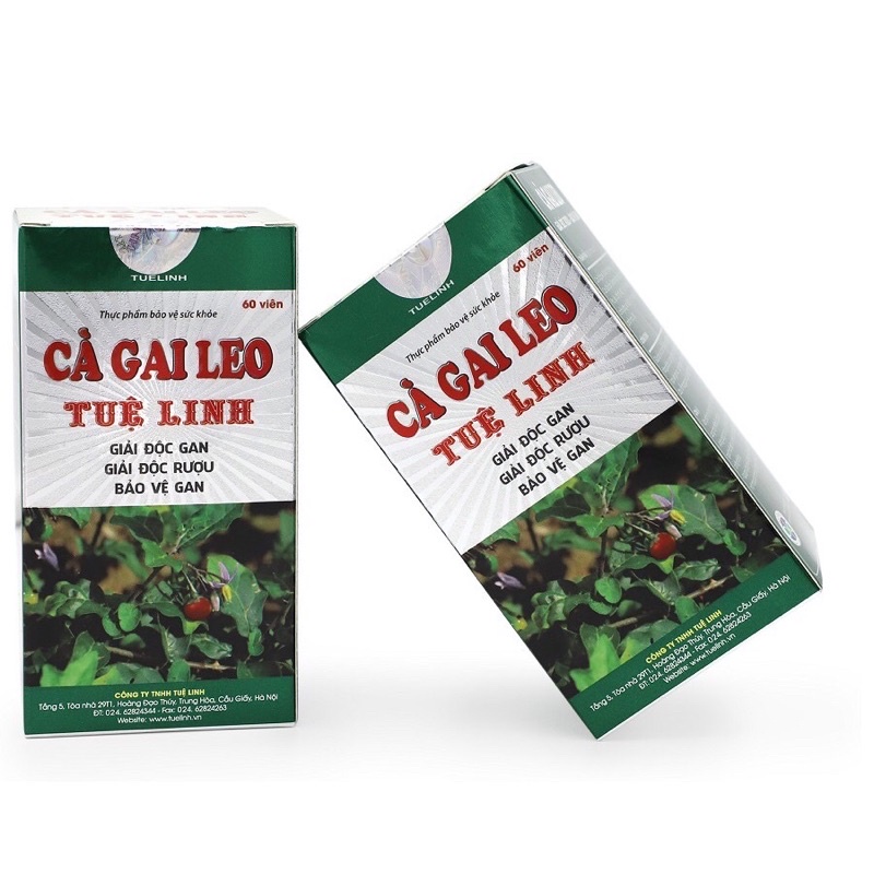 Cà Gai Leo Tuệ Linh Hộp 20 viên - Giải độc gan, Giải độc rượu, Bảo vệ gan
