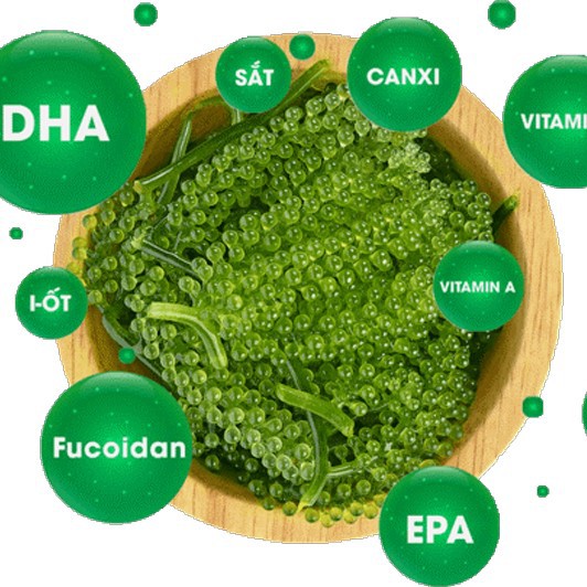 Rong Nho Tách Nước DK HARVEST - Túi 25g - Công Nghệ Tách nước Nhật Bản - Tặng Gói Nước sốt mè rang Kewpie 15ml/ 1 bịch