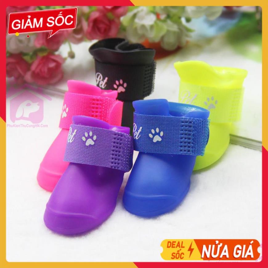 Giày cao su đi mưa bộ 4 chân dành cho thú cưng - Phụ kiện chó mèo Pet shop Hà Nội