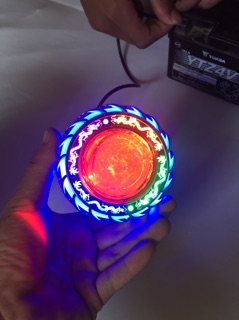 Bi cầu rồng