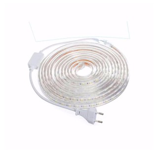 Đèn LED dây (dài 10m) + 1 bộ nguồn 220V