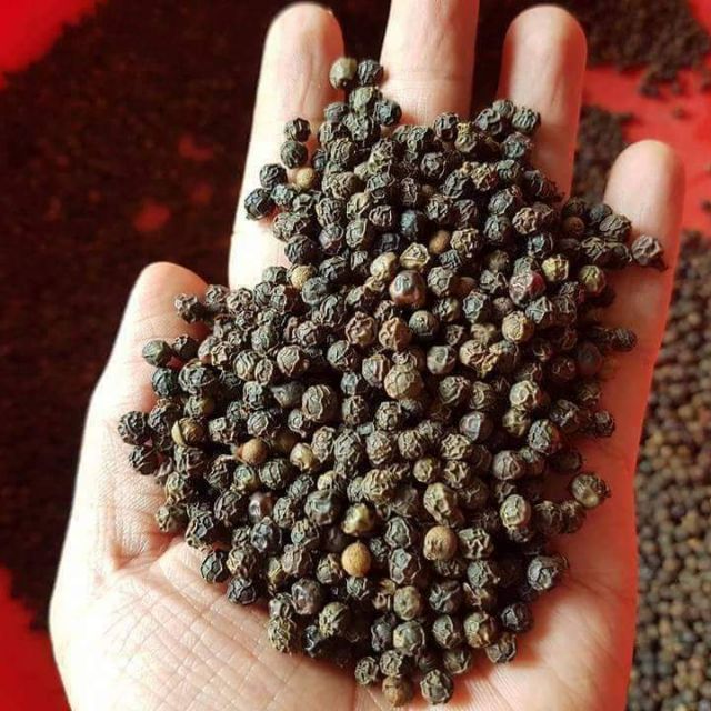 Hạt tiêu hột bình phước