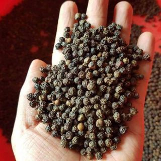 Hạt tiêu hột bình phước