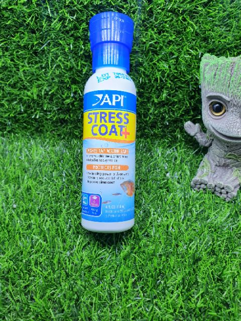 Dung dịch giảm Stress khử độc nước API STRESS COAT + Cho Cá Cảnh - Guppy Xanh