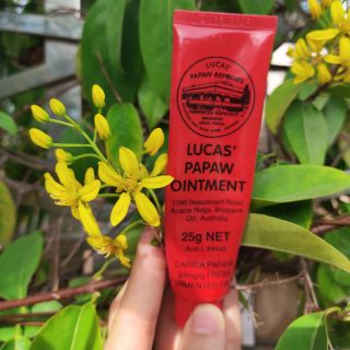 Kem đa năng Lucas' s papaw ointment 25g